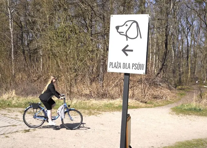 Baltic Plaza Medi コウォブジェク