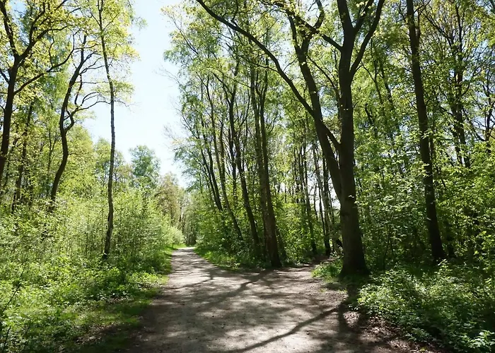 Baltic Plaza Medi ホテル 4*