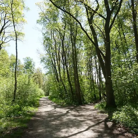 Baltic Plaza Medi ホテル 4*